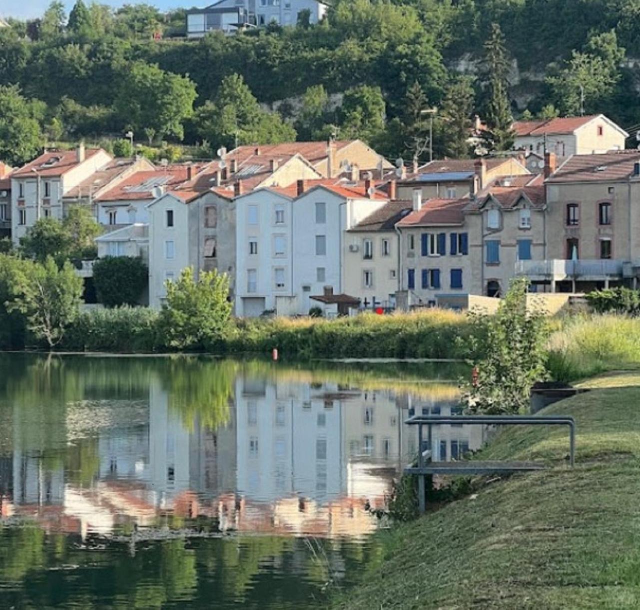 Jolie, Cozy, Confortable Maison De Ville Au Calme A 5Min Du Centre De Verdun, Parking Devant La Maison Belleville-Sur-Meuse المظهر الخارجي الصورة